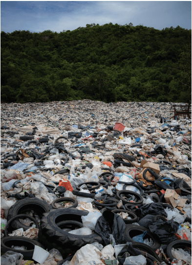 O destino do lixo e o futuro do meio ambiente